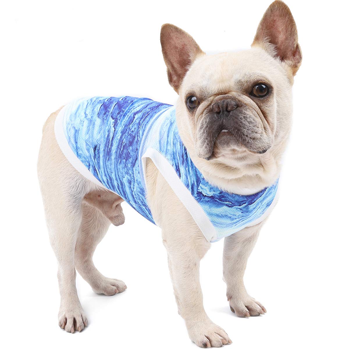 Dog Cooling Vest for Summer - Instant Cooling Pet Shirt & Harness for Small Dogs & Puppies (Medium) - Perfect for Outdoor Walks, Hiking & Hot Weather