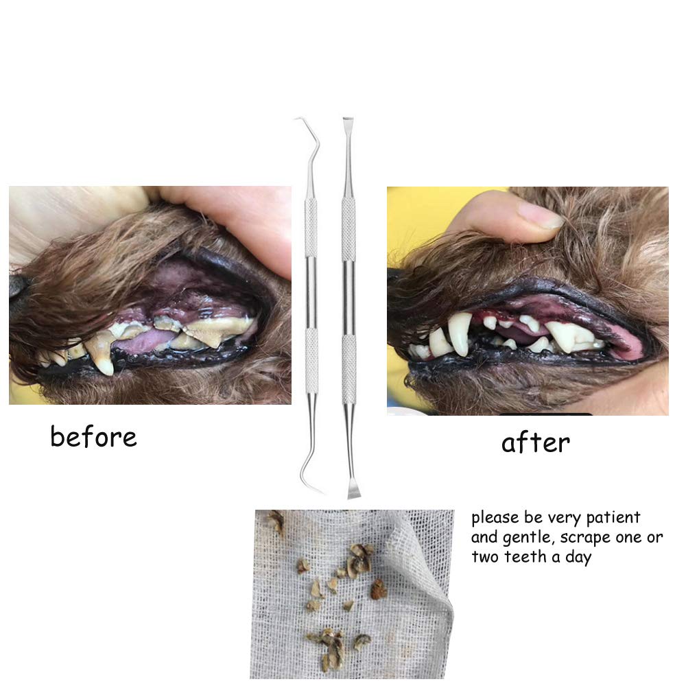 Dog Teeth Cleaning Tools - Stainless Steel Double Head Dental Scraper & Tartar Remover for Canine Oral Care - Perfect for Home Pet Dental Hygiene and Teeth Cleaning Routine