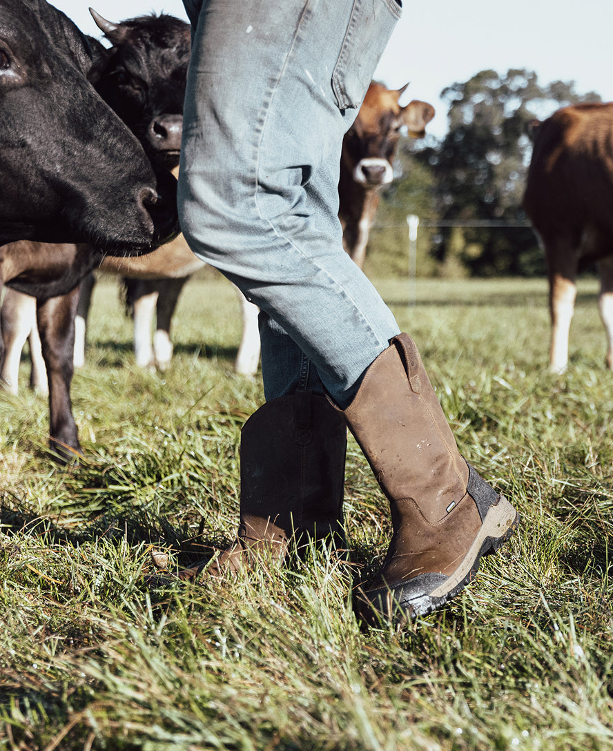 Men's Evanston Pull-On Waterproof Work Boots with Carbon Toe - Bison/Black - Ideal for Construction, Outdoor Work & Winter Wear