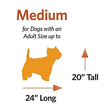 MidWest Homes for Pets iCrate 30-Inch Dog Crate Starter Kit for Medium Dogs (26-40 lbs) - Includes Crate, Pet Bed, 2 Bowls & Cover | Portable Kennel for Travel, Training & Home Use