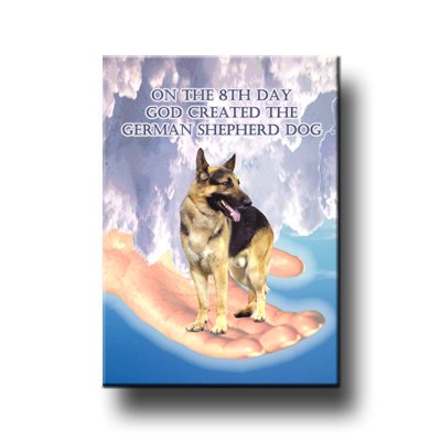 8th Day God Created Fridge Magnet - Funny Religious Kitchen Decor for Refrigerator, Office & Home Use