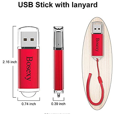 Bosexy 1GB USB Flash Drives 10 Pack - USB 2.0 Thumb Drives with LED & Lanyards for Office & School