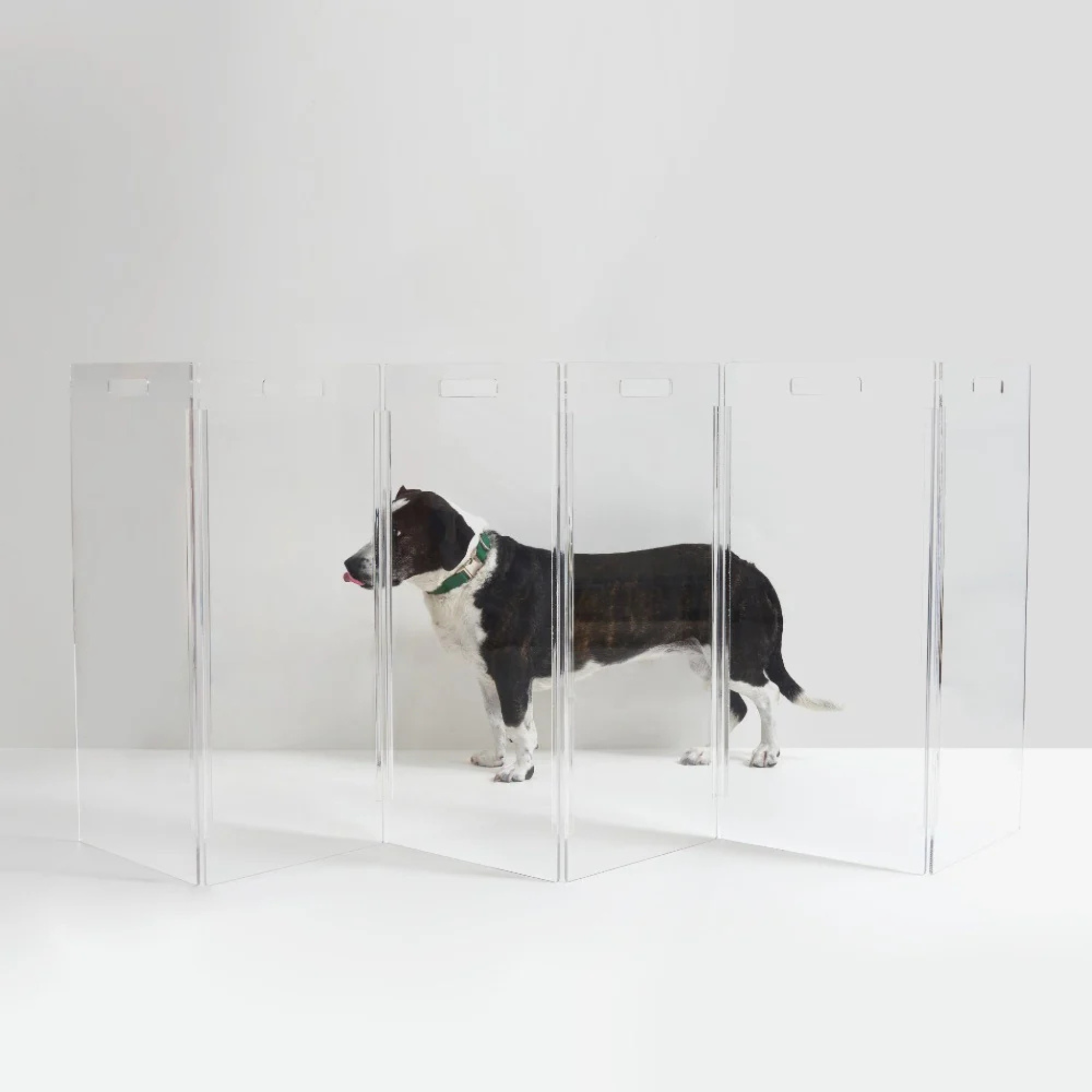 Clear Freestanding Zig Zag Panel Pet Gate - Expandable Safety Barrier for Dogs & Cats - Perfect for Doorways, Hallways & Stairs - Home & Office Use