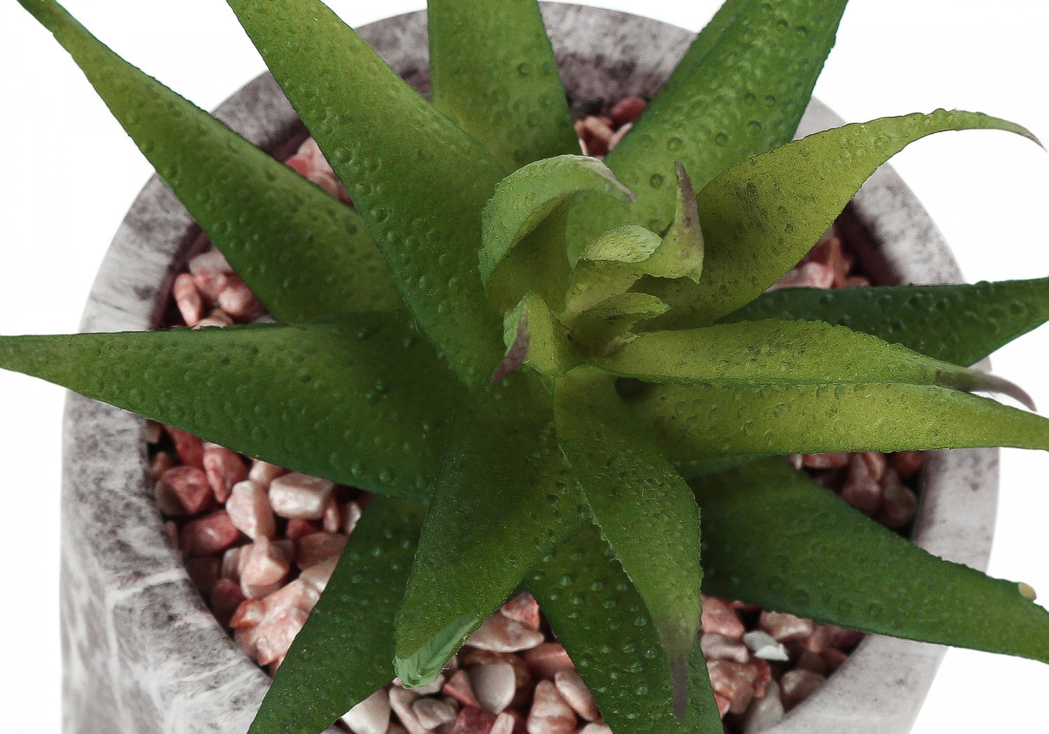 7 Succulent Plants with 4 Marble-Look Pots - Green Set of 2 | Perfect for Home Decor, Office Desk & Gift Ideas