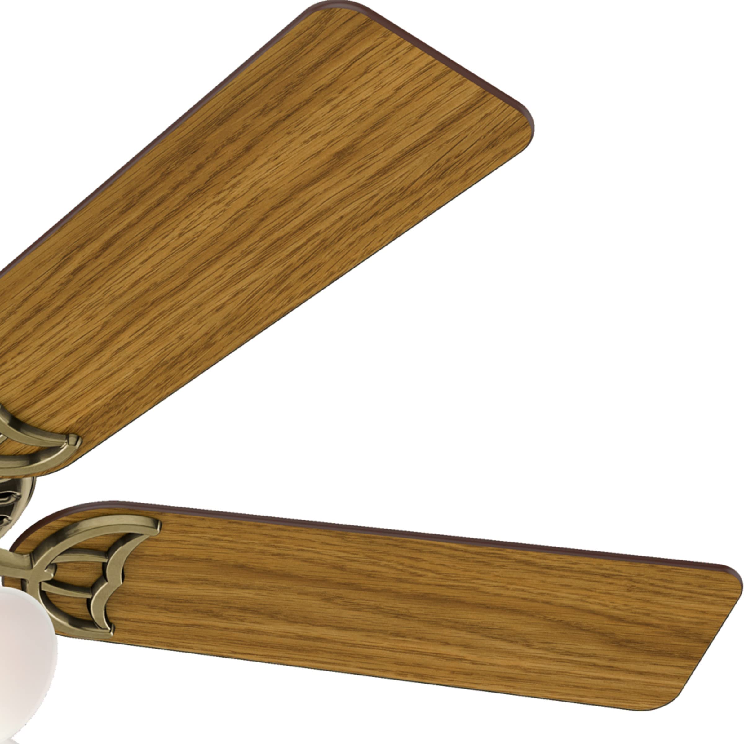 Hunter Fan Company 53063 Studio Series 52 Inch Ceiling Fan with 4 Covered Energy Efficient LED Lights - Pull Chain Control in Antique Brass | Perfect for Living Room, Bedroom & Office Cooling