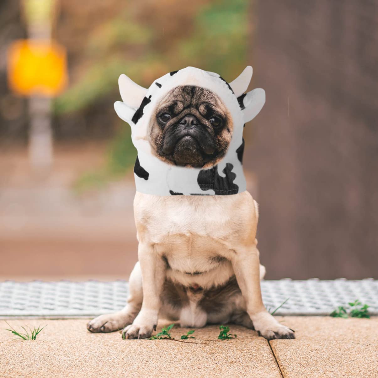 Balacoo White Cow Hat for Medium Dogs - Cute Pet Costume & Apparel for Halloween, Christmas, or Photo Shoots