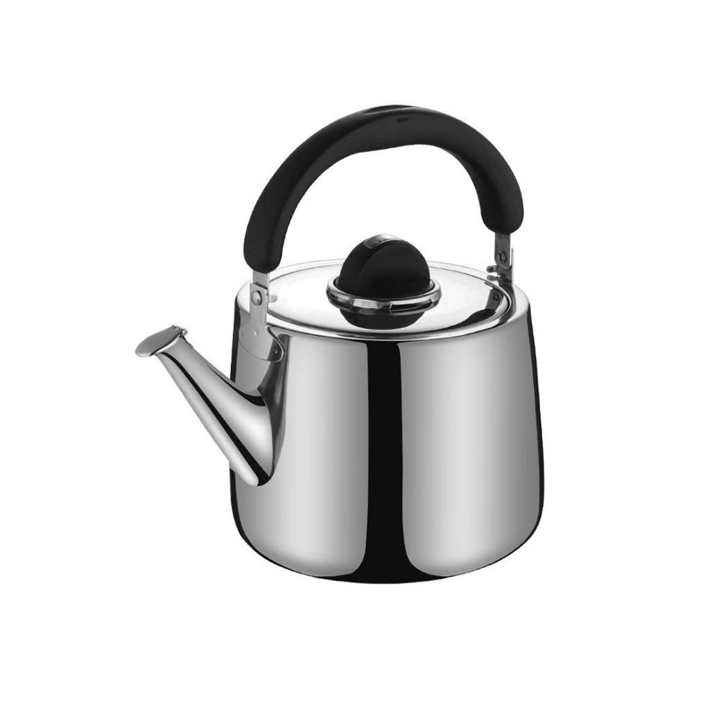 GANFANREN 304 Stainless Steel Whistling Tea Kettle - Large Capacity Camping & Kitchen Teapot for Gas Stove - Perfect for Boiling Water, Milk & Outdoor Use