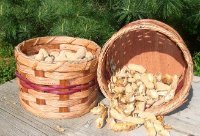 Amish Handmade Double Peanut Basket - 6.5x4.25 Inch Shell & Hull Organizer - Perfect for Man Cave, Home Bar & Coffee Table - Healthy Snack Storage for Family & Guests - Eco-Friendly Weaved Design with Easy-Dump Rivet (Colors Vary)