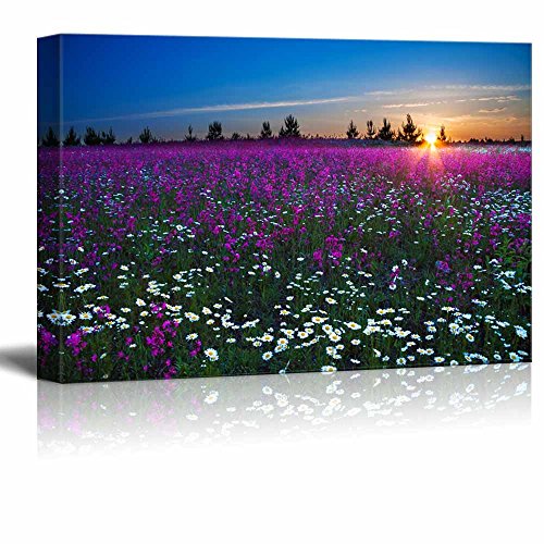 Sunrise Over a Blossoming Field