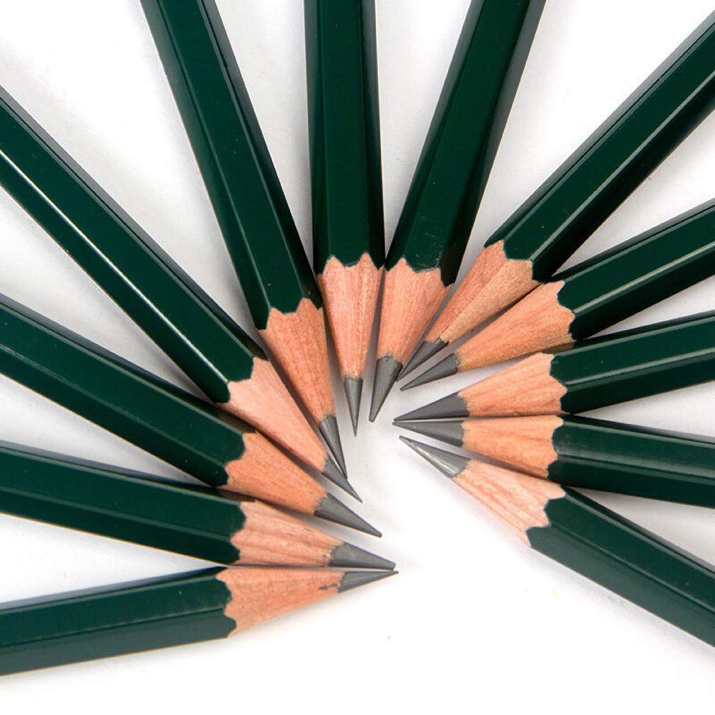 12B Professional Drawing Pencils for Artists & Students - Sketching, Shading & Fine Art Supplies for Beginners to Advanced