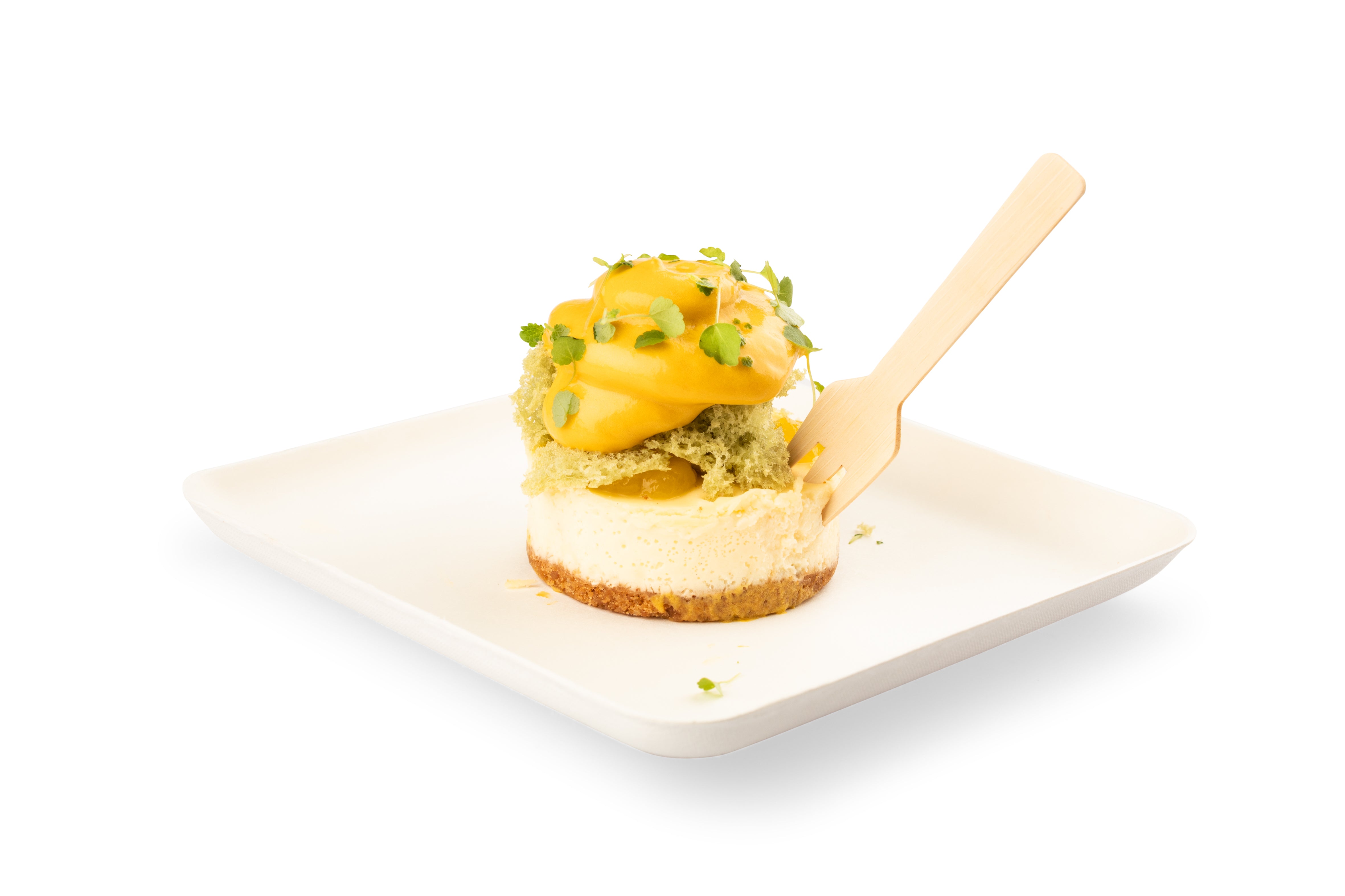 Bagastro Square Plate - Elegant and Durable Dinnerware Set for Home, Restaurant, and Party Use - Perfect for Serving Appetizers, Desserts, and Meals