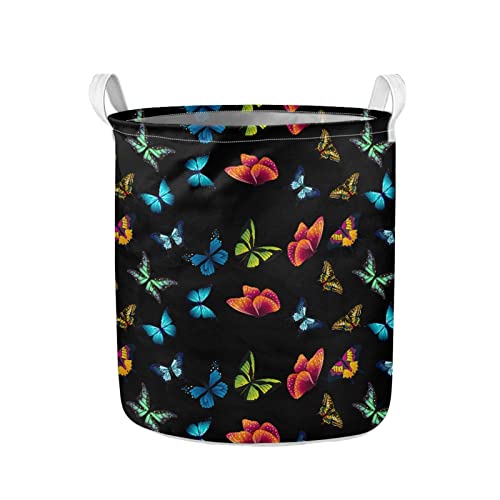 Colorful Butterfly Laundry