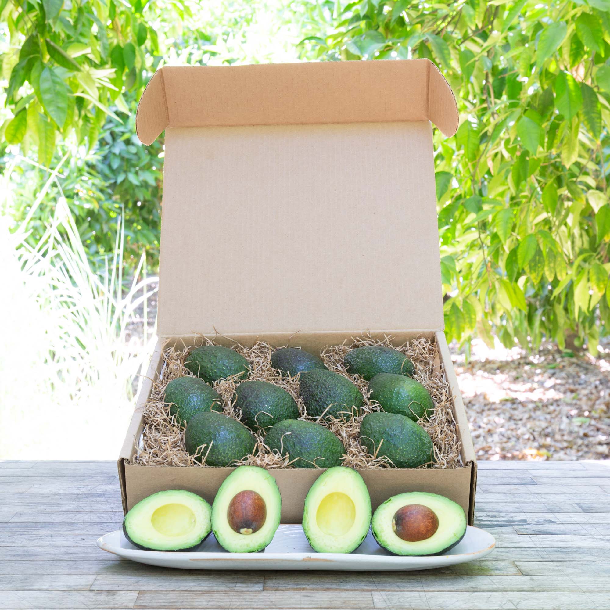 Fresh Organic Hass Avocados - Premium Ripe Avocados for Guacamole, Salads & Healthy Snacks - Perfect for Keto, Vegan & Paleo Diets