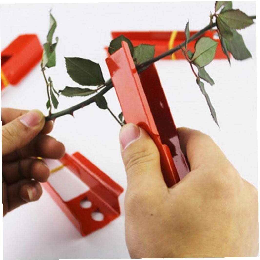 Rose Pliers - Professional Burr Remover & Flower Stem Stripper for Pruning Rose Thorns, Leaves & Branches - Ideal for Gardening, Floral Arrangements & DIY Bouquets