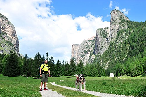 **Neewa Hands-Free Dog Walking Belt with Pockets & Collapsible Bowl – Adjustable Waist Leash for Hiking, Running, Jogging & Outdoor Adventures – Perfect for Active Pet Owners & Daily Walks**    *(Use Cases: Great for dog owners who love hiking, jogging, or hands-free walks while keeping treats, keys, and a collapsible water bowl handy.)*