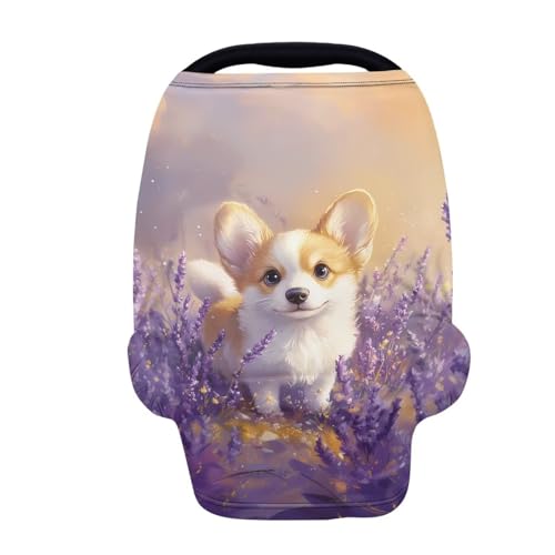 Cute Corgi