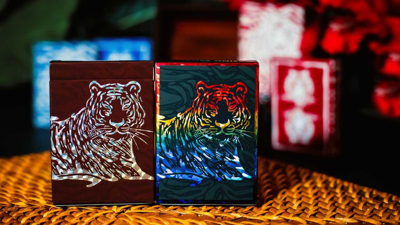 The Hidden King Rainbow Luxury Edition - Premium Collectible Card Game for Adults & Teens - Perfect for Game Nights, Tournaments & Gifting