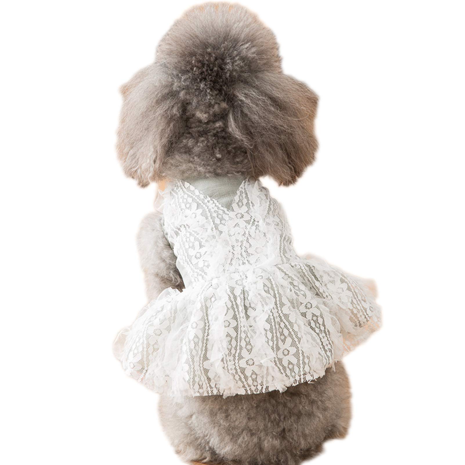 Elegant Dog Wedding & Birthday Dresses - Princess Party Apparel for Puppies & Cats | Formal Pet Dresses for Special Occasions, Photo Shoots & Celebrations