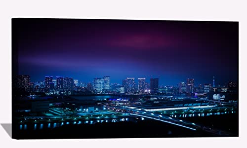 Toyosu Market and Ginza Skyline