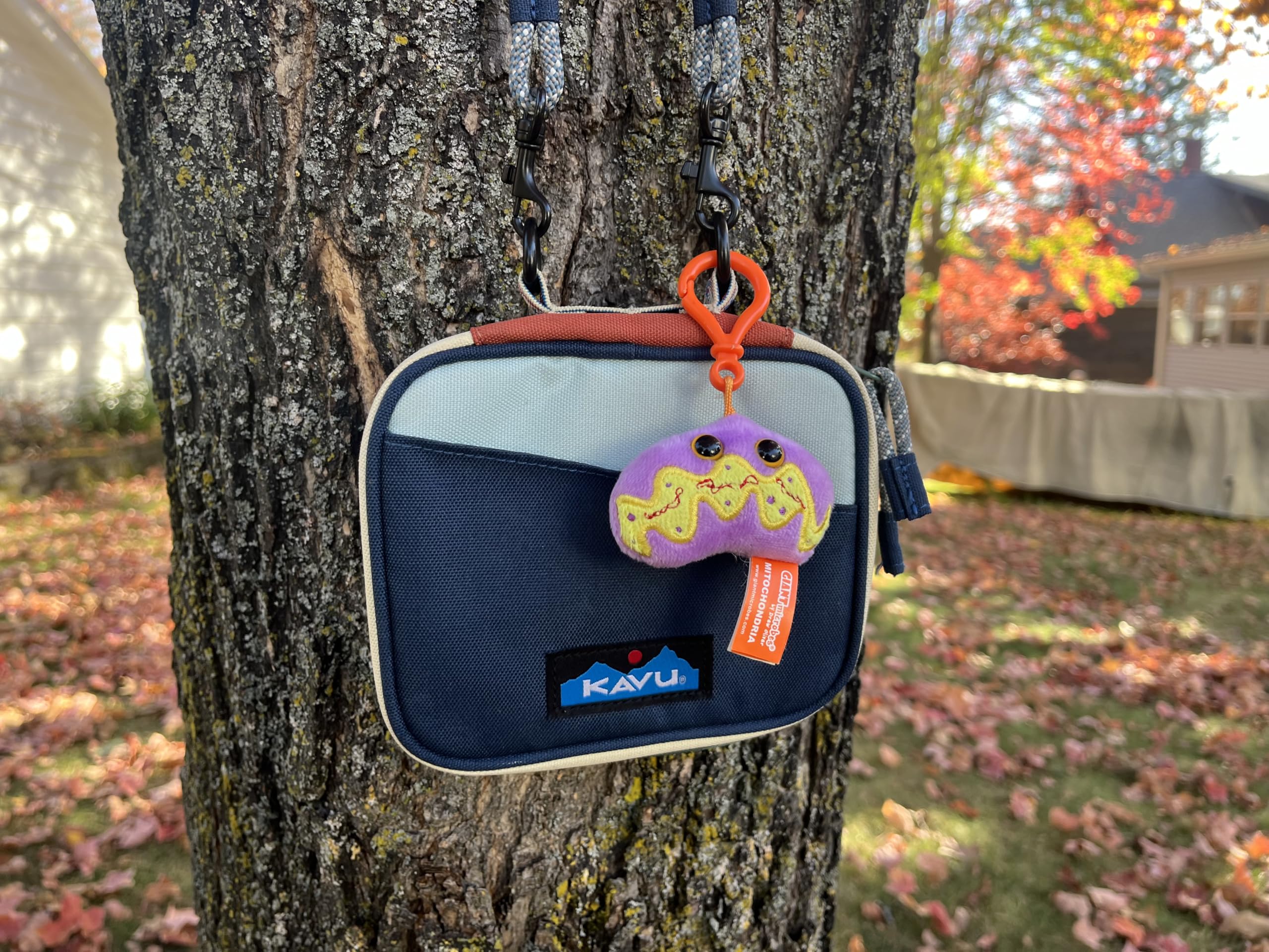 GIANTmicrobes Genetics Themed Gift Box - DNA Plush Keychain & Science-Themed Gifts for Genetic Counselors, Genealogists & Teachers | Perfect for Science Classrooms, DNA Enthusiasts & Ancestry Lovers