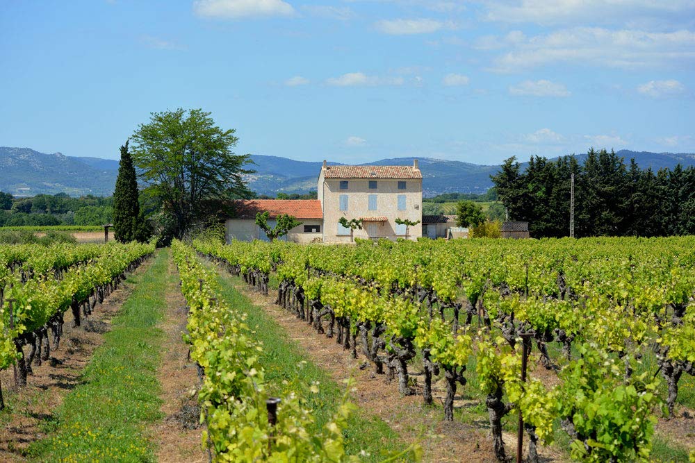 Provence Vineyard Self-Adhesive Peel & Stick Wall Mural - 64x96 Inches - Perfect for Living Room, Bedroom, or Office Decor