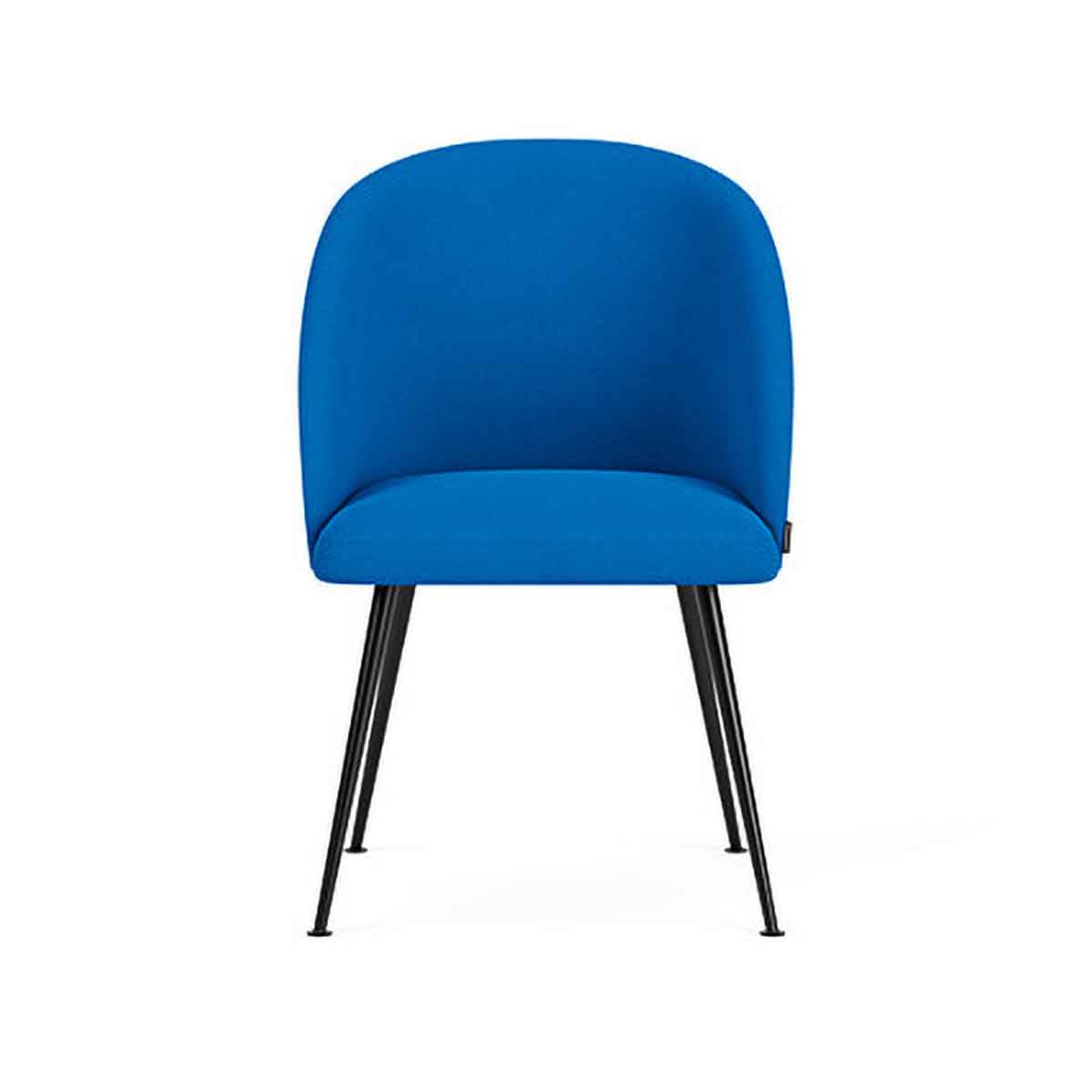 Holly Fabric Dining Chair - Comfortable Upholstered Seat for Kitchen, Dining Room & Office - Modern Home Decor Furniture for Everyday Use
