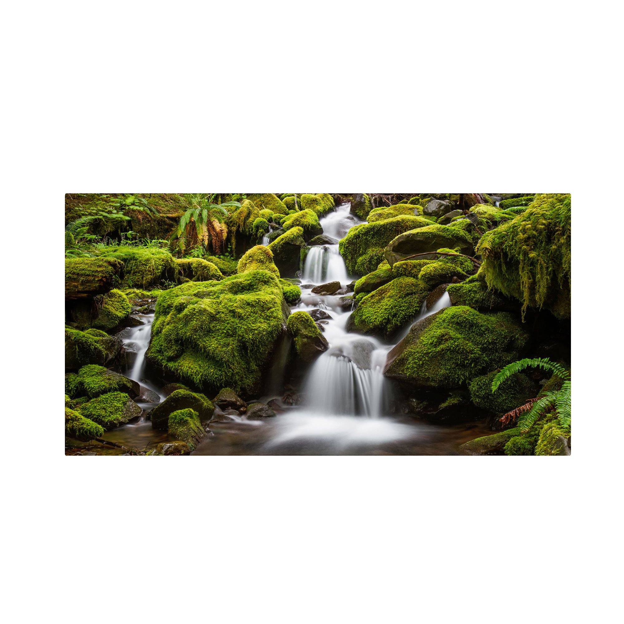 Pierre Leclerc Green Moss Stream Landscape Art Print - 24x47 Inch Framed Canvas Wall Decor for Living Room, Bedroom & Office | Trademark Fine Art Collection