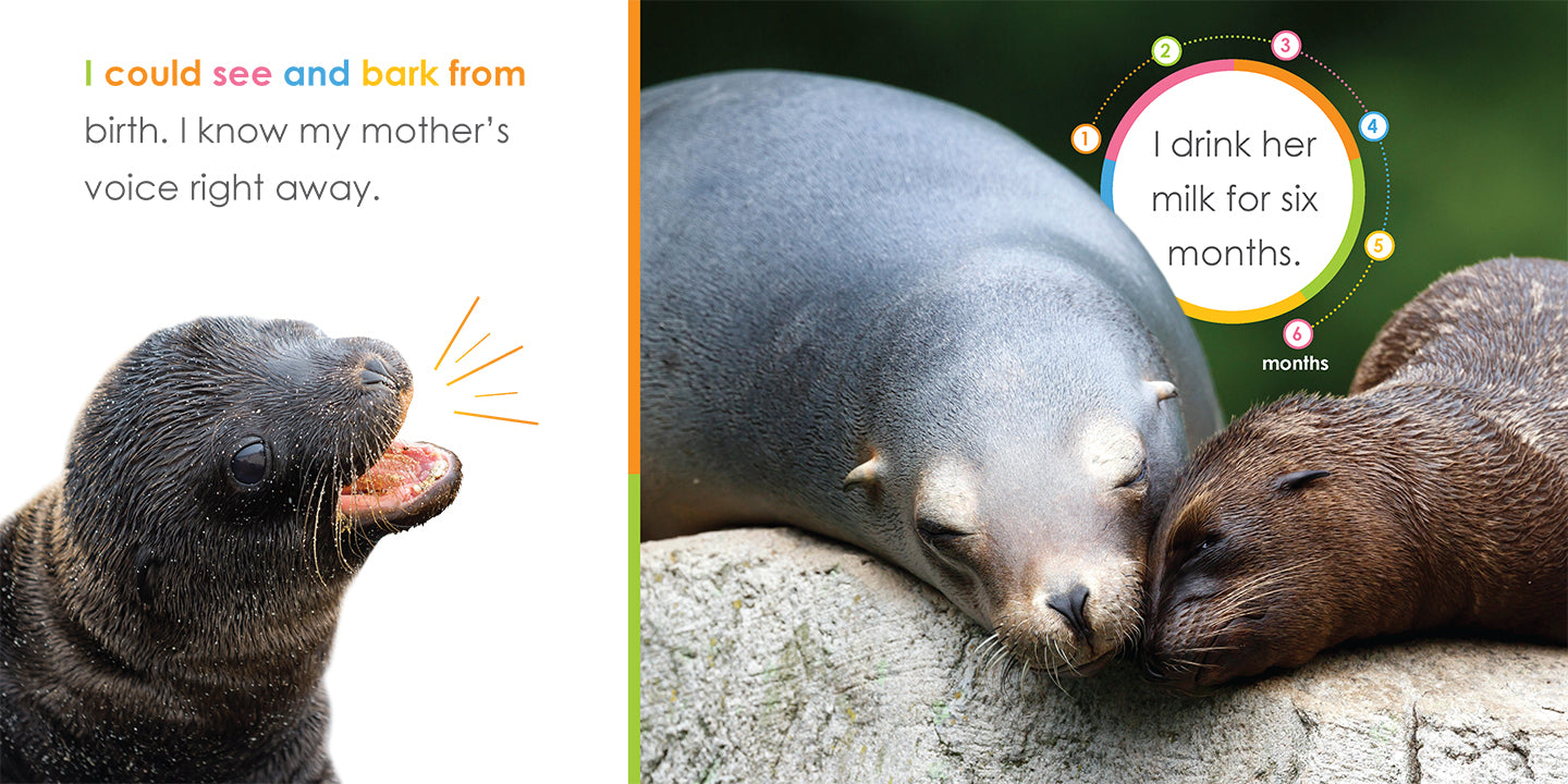 Baby Sea Lions Book - ISBN 978-1-64026-355-0 | Children's Marine Life Educational Story | Perfect for Bedtime Reading & Classroom Learning