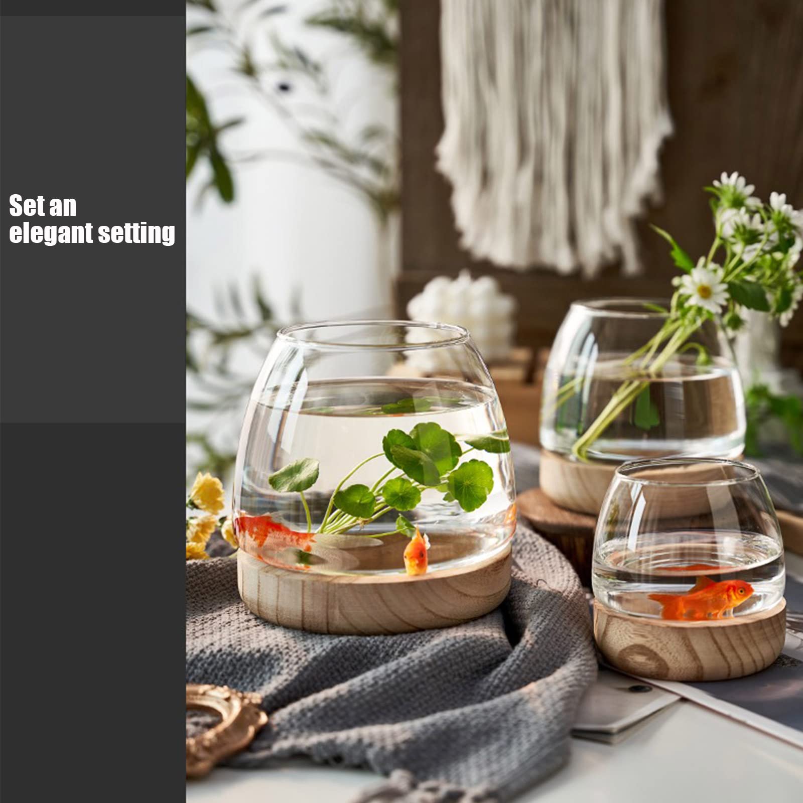 TSYFM Mini Glass Fish Tank Bowl - Small Desktop Round Aquarium for Betta Fish, Hydroponic Plants, Terrarium & Home Decor | Perfect for Office, Living Room, Bedroom Decor