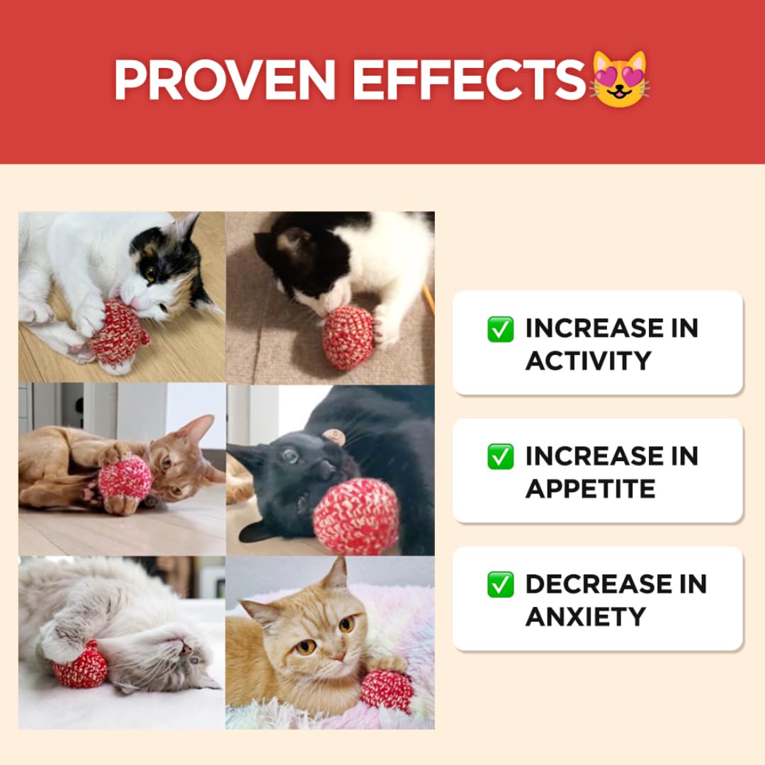 JAYU PET Cat Holic Ball with Silvervine & Catnip Spray Set - 2.7 inch Handmade Kicker Toy & 1oz Essential Oil Spray for Indoor Cats - Stress Relief, Calming, Exercise - Perfect for Playtime & Anxiety Relief