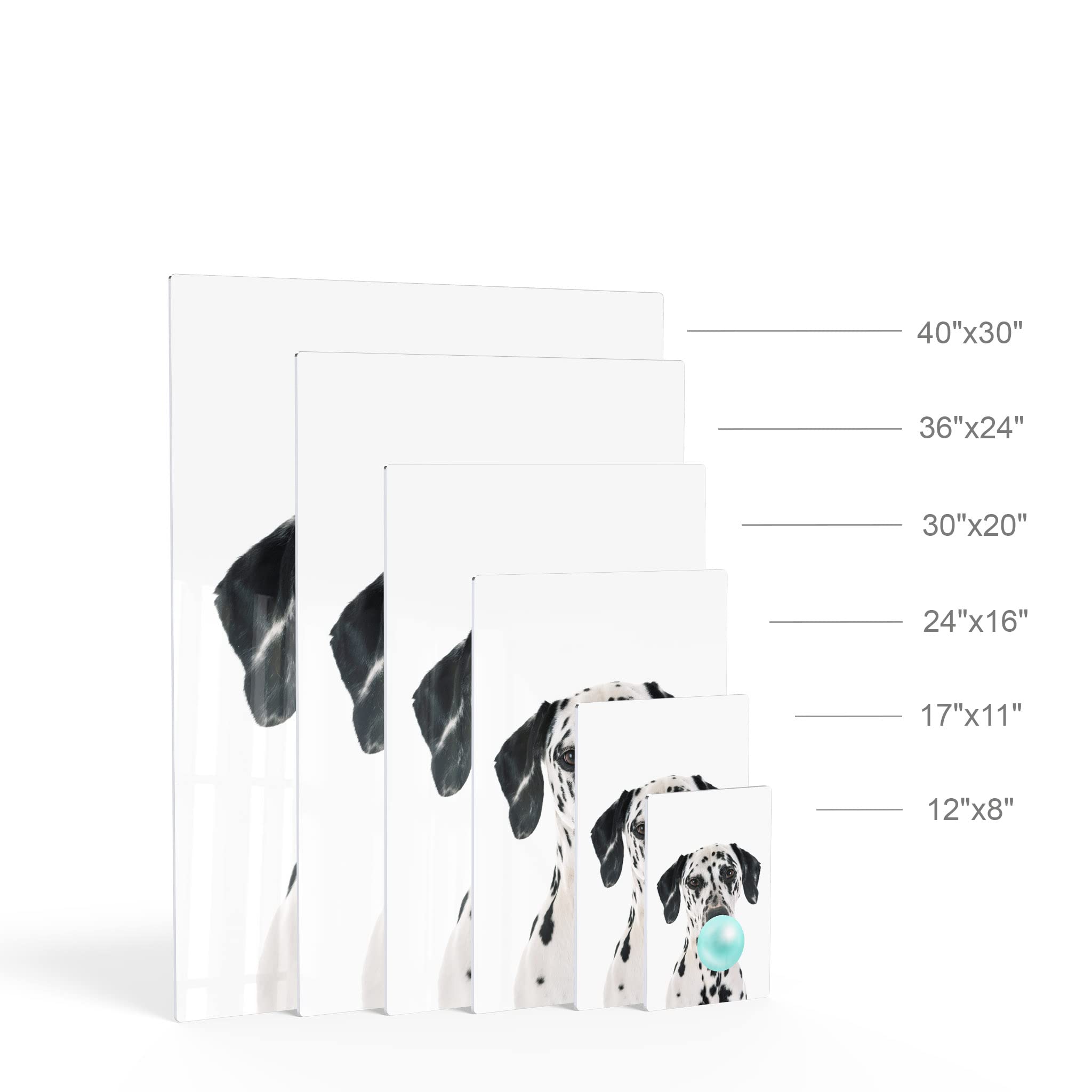 Dalmatian Dog Chewing Bubble Gum Metal Wall Art Print - 36x24 | Pet Lover Gift, Animal Pop Art Decor for Office, Living Room, Bedroom & Nursery | Unique Home Decor for Dog Lovers & Kids Rooms