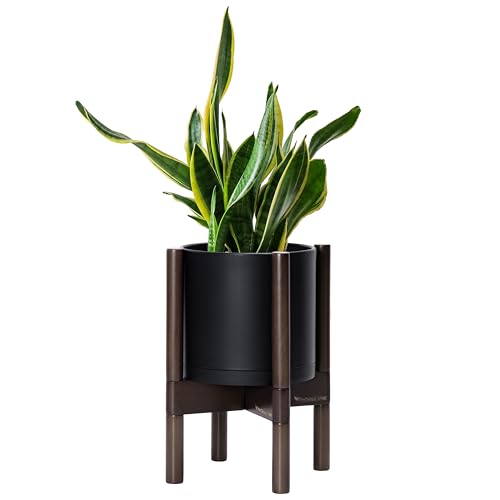 Matte Black Pot + Walnut Color Stand