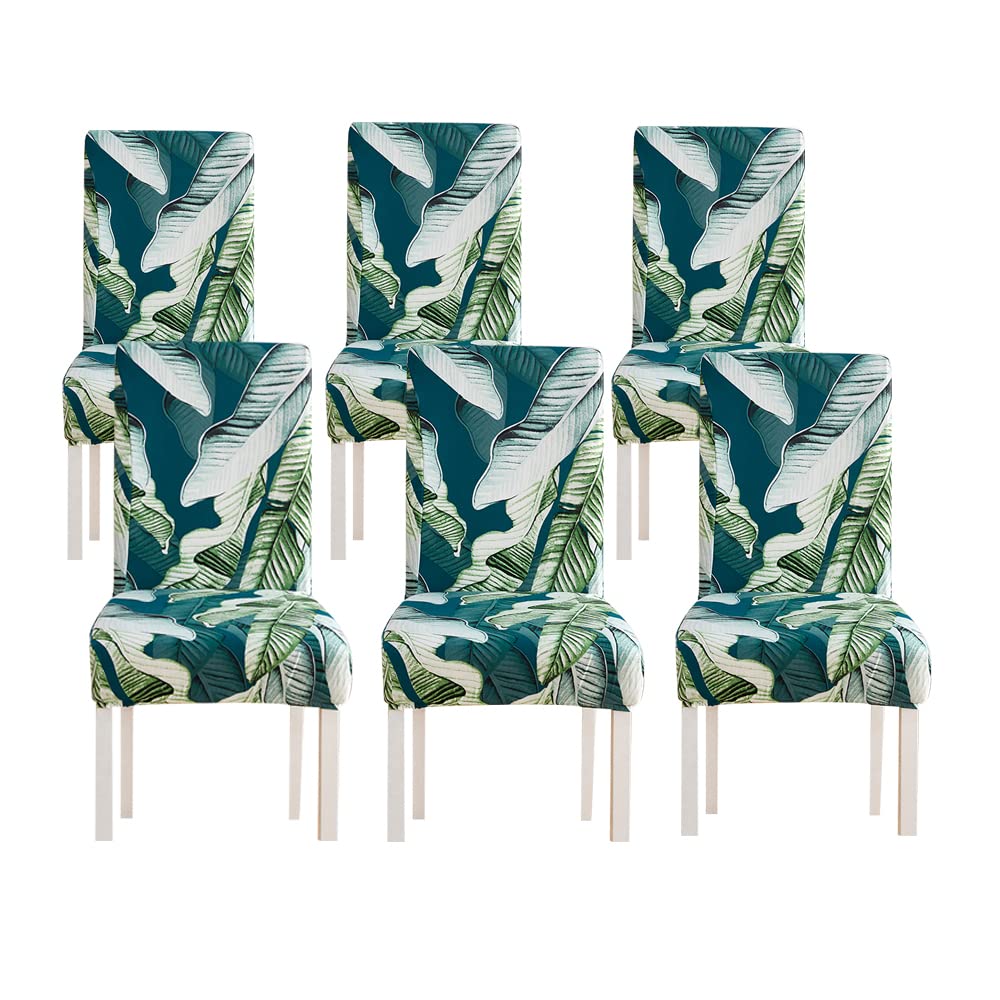 CAPSCEOLL Stretchable Dining Chair Covers Set of 6 - Spandex Slipcovers for Kitchen, Restaurant & Hotel - Washable & Removable Chair Protectors for Home, Office & Wedding Ceremonies