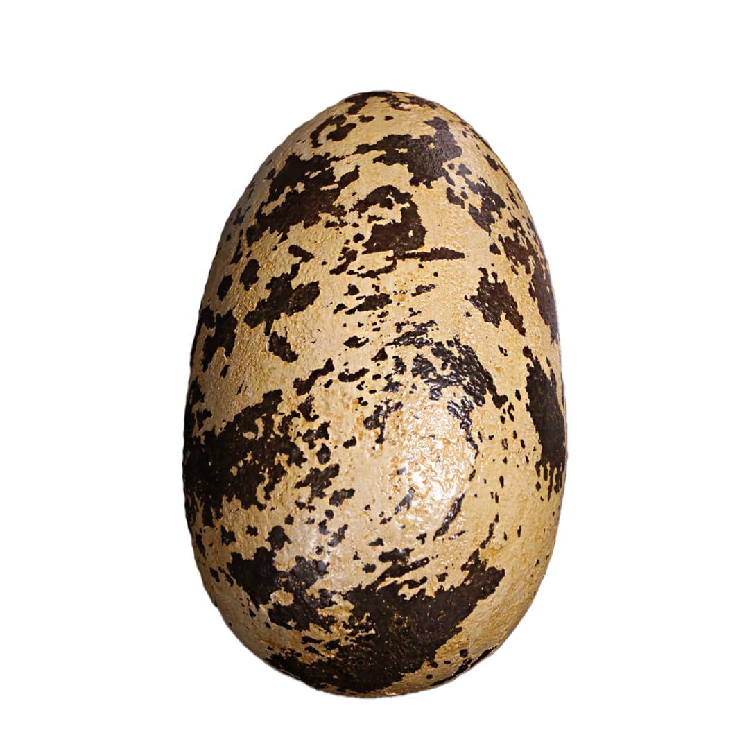 LM Treasures Small Theropod Dinosaur Egg Life-Size Replica - Perfect for Dinosaur Enthusiasts, Home Decor & Educational Displays