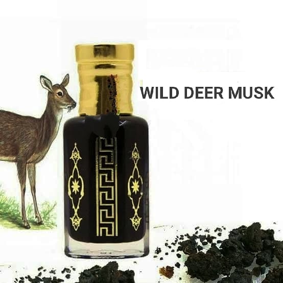 Pure Musk Nafa 87% Wild Black Deer Musk Oil - Natural Aphrodisiac & Pheromones (3ml/1/4 Tola) with Applicator - for Perfume Making, Aromatherapy & Romantic Enhancement