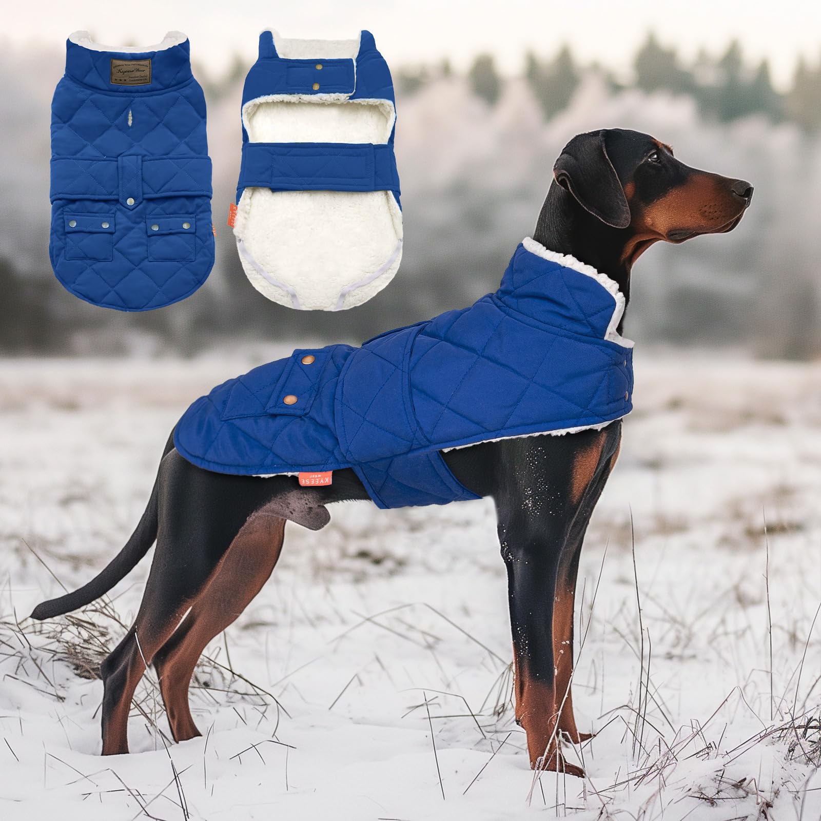 KYEESE Winter Dog Coat - Windproof Padded Sherpa Jacket with Furry Collar for Small Dogs | Warm Cozy Dog Clothes for Cold Weather | Perfect for Outdoor Walks, Winter Adventures & Daily Wear (Blue, Medium)
