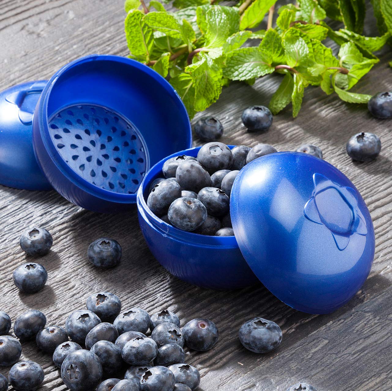 Hutzler Blueberries To-Go Bento Box | Reusable Plastic Food Storage Container for Snacks, Fruits & Lunch | Perfect for School, Office & Picnics