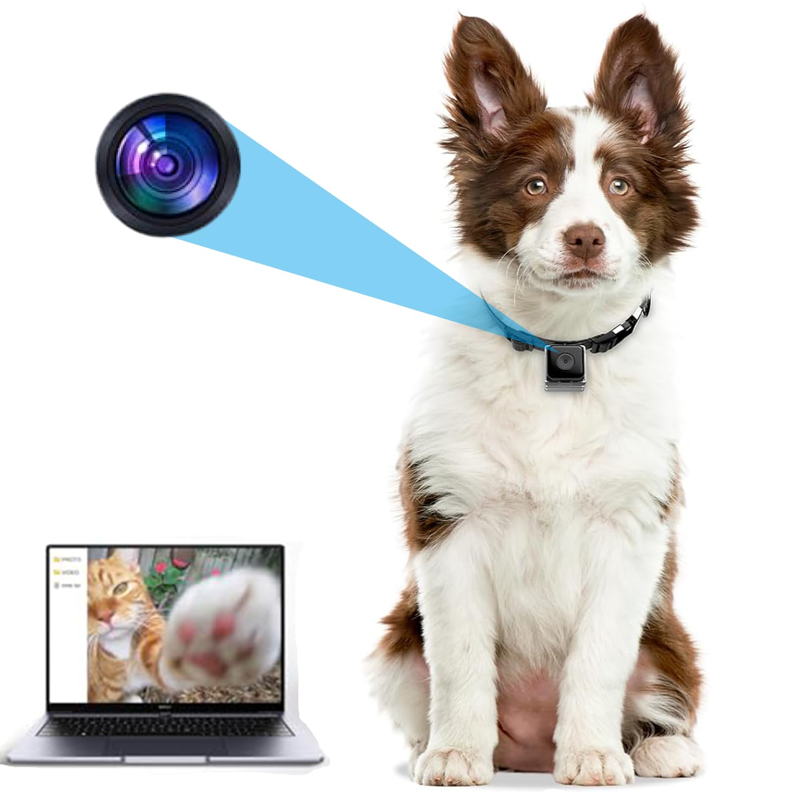 Wireless Cat Collar Camera with Video Recording - No WiFi Needed for Outdoor Pets