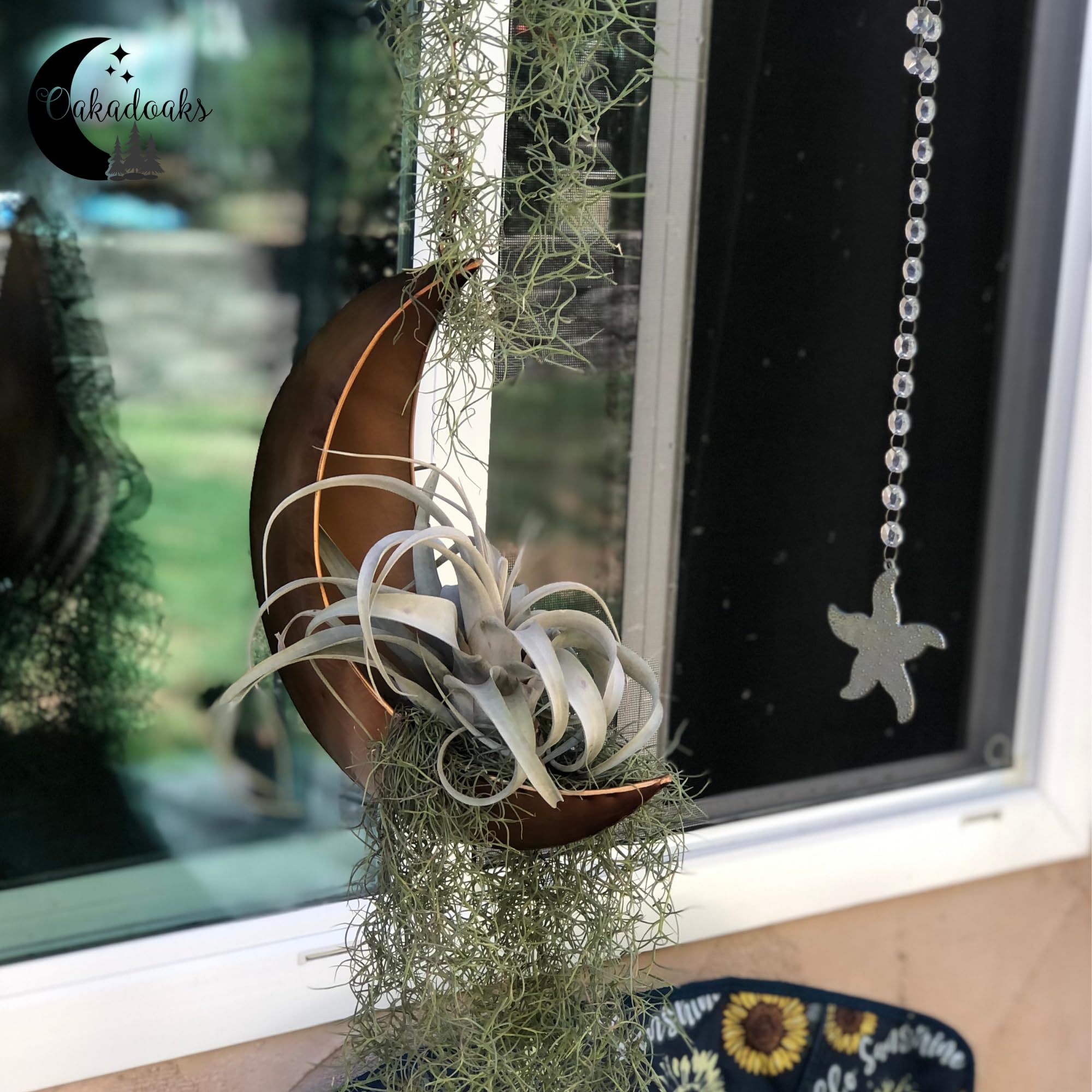 Moon Shaped Hanging Planter - Unique Boho Plant Holder for Succulents, Air Plants & Cactus - Perfect Hippie Witchy Home Decor & Birthday Gift for Plant Lovers - Ideal for Indoor Gardens, Balcony Decor & Boho Bedroom Aesthetics