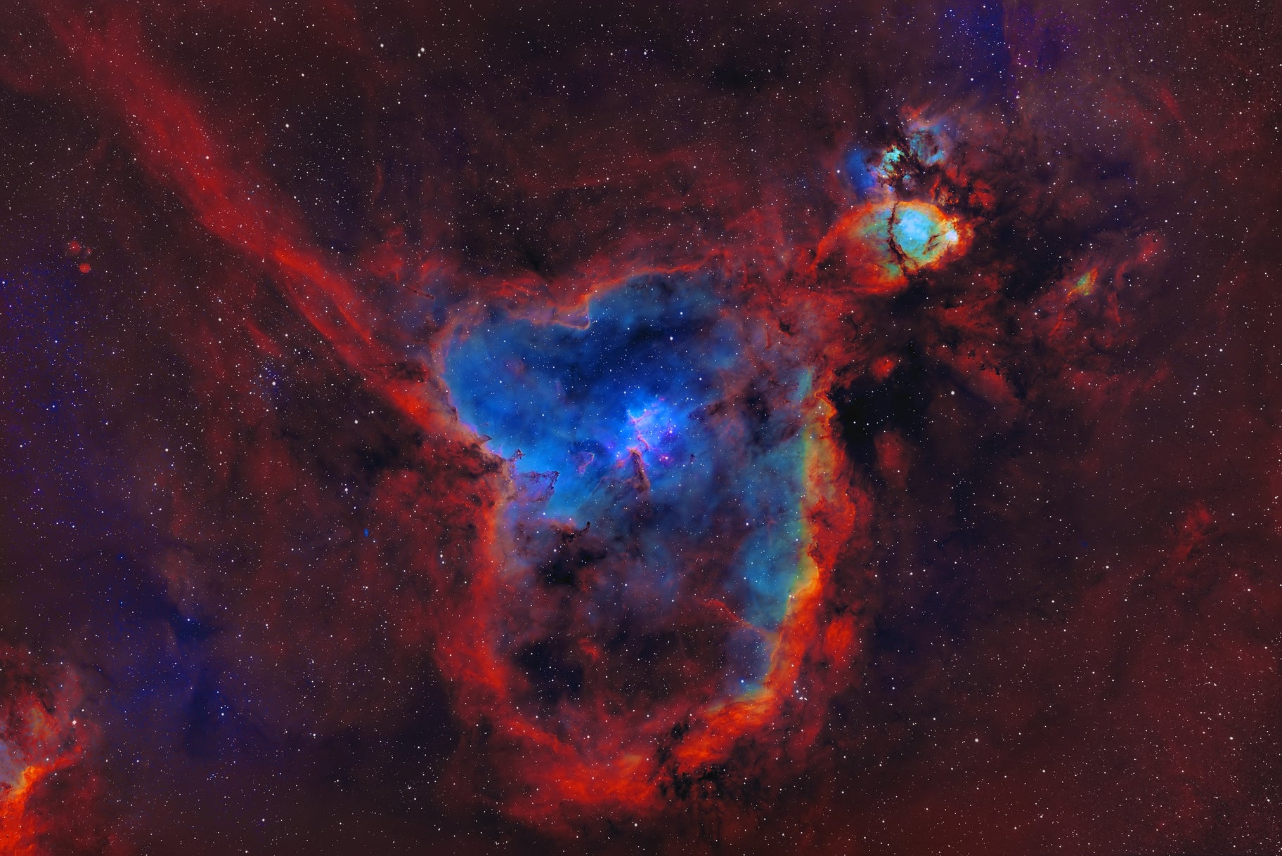 HyperStar C11 V4 Telescope - High Performance Astronomy Telescope for Stargazing, Astrophotography & Celestial Observation - Perfect for Beginners & Advanced Astronomers
