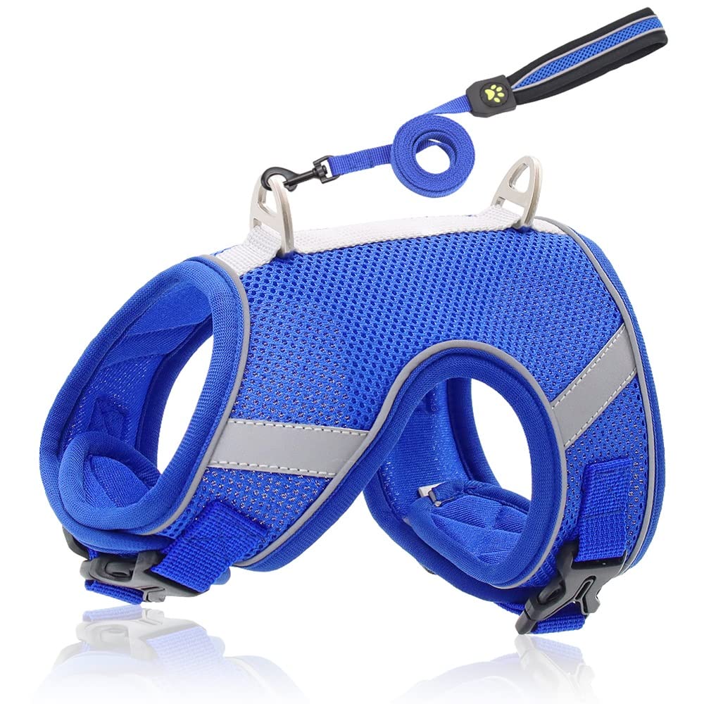 KGEZW Breathable Mesh Dog & Cat Harness Leash Set - Reflective Nylon Puppy Vest with Adjustable Walking Lead for Small & Medium Pets (Small, Color C) - Perfect for Outdoor Walks, Hiking & Nighttime Safety