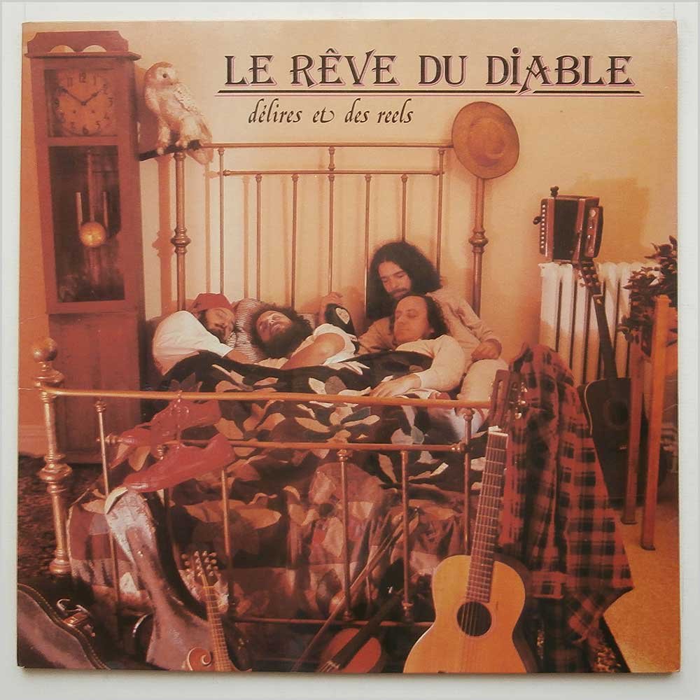 Delires Et Des Reels Vinyl LP Record - Classic French Rock Music for Collectors & Audiophiles | Perfect for Home Listening, Gifts & Music Collections