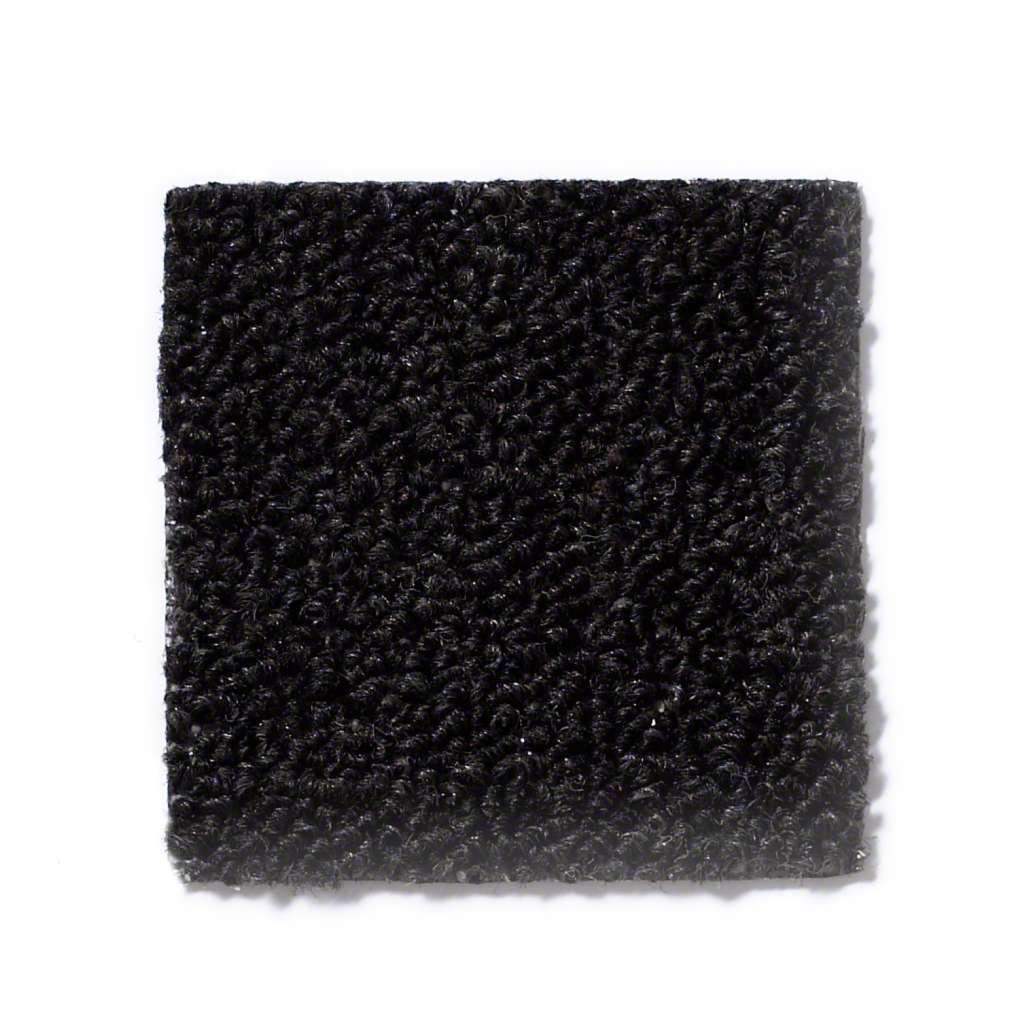 Premium Black Indoor/Outdoor Area Rug 8'x10' - Heavy Duty Commercial Grade for Home, Office, Patio & Deck - Non-Slip, Stain Resistant & Easy to Clean (H-NEYLAND-8X10-BLACK)