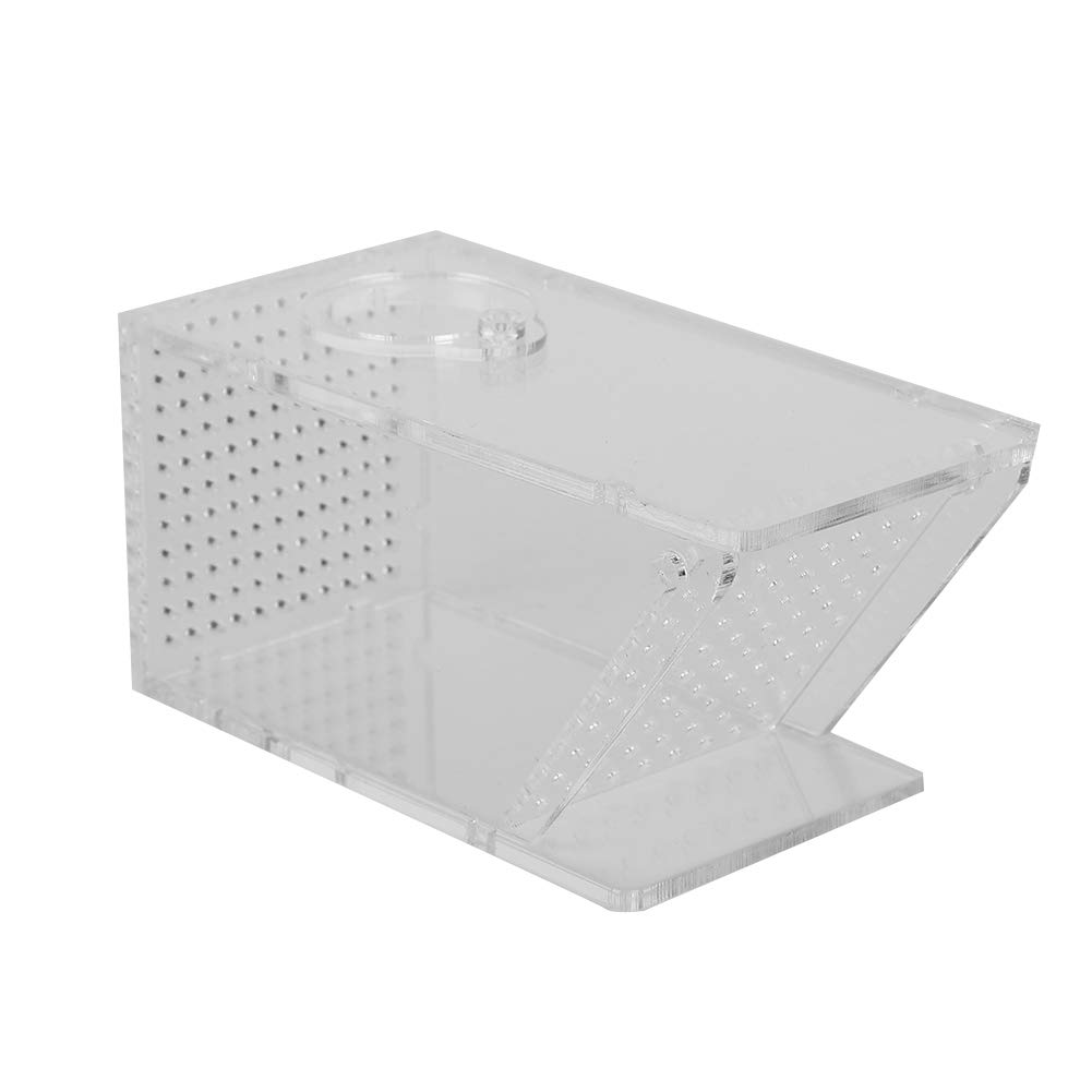 **Transparent Acrylic Crab & Fish Trap - Mini Freshwater Aquarium Catcher Box for Lobster, Shrimp, Minnows, Crawfish - Perfect for Home Aquariums, Fishing Bait & Snail Control**
