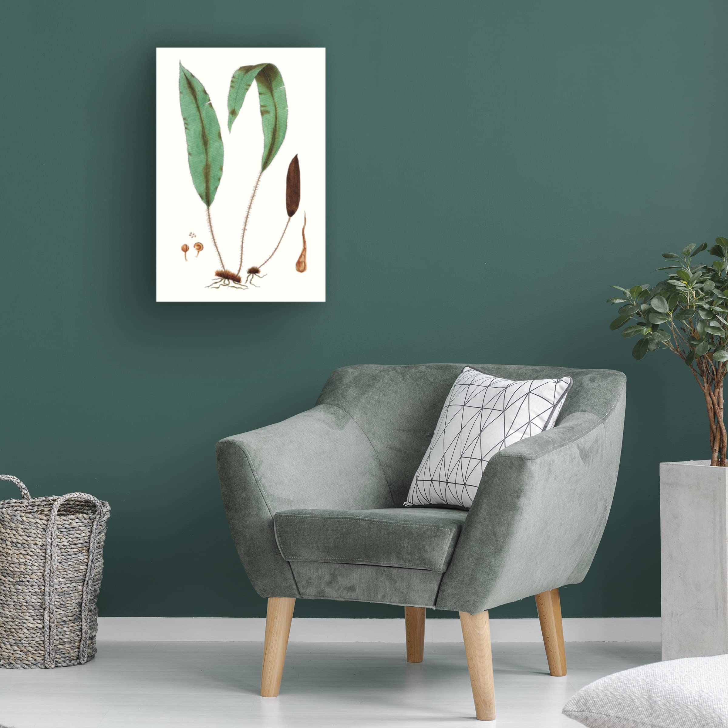 Trademark Fine Art 'Fern Foliage III' Canvas Wall Art Print by Vision Studio - Nature Inspired Botanical Decor for Living Room, Bedroom & Office