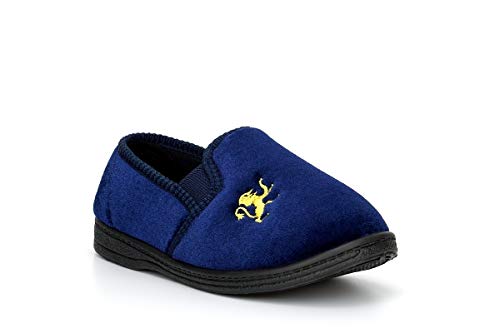 Navy Lion Motif
