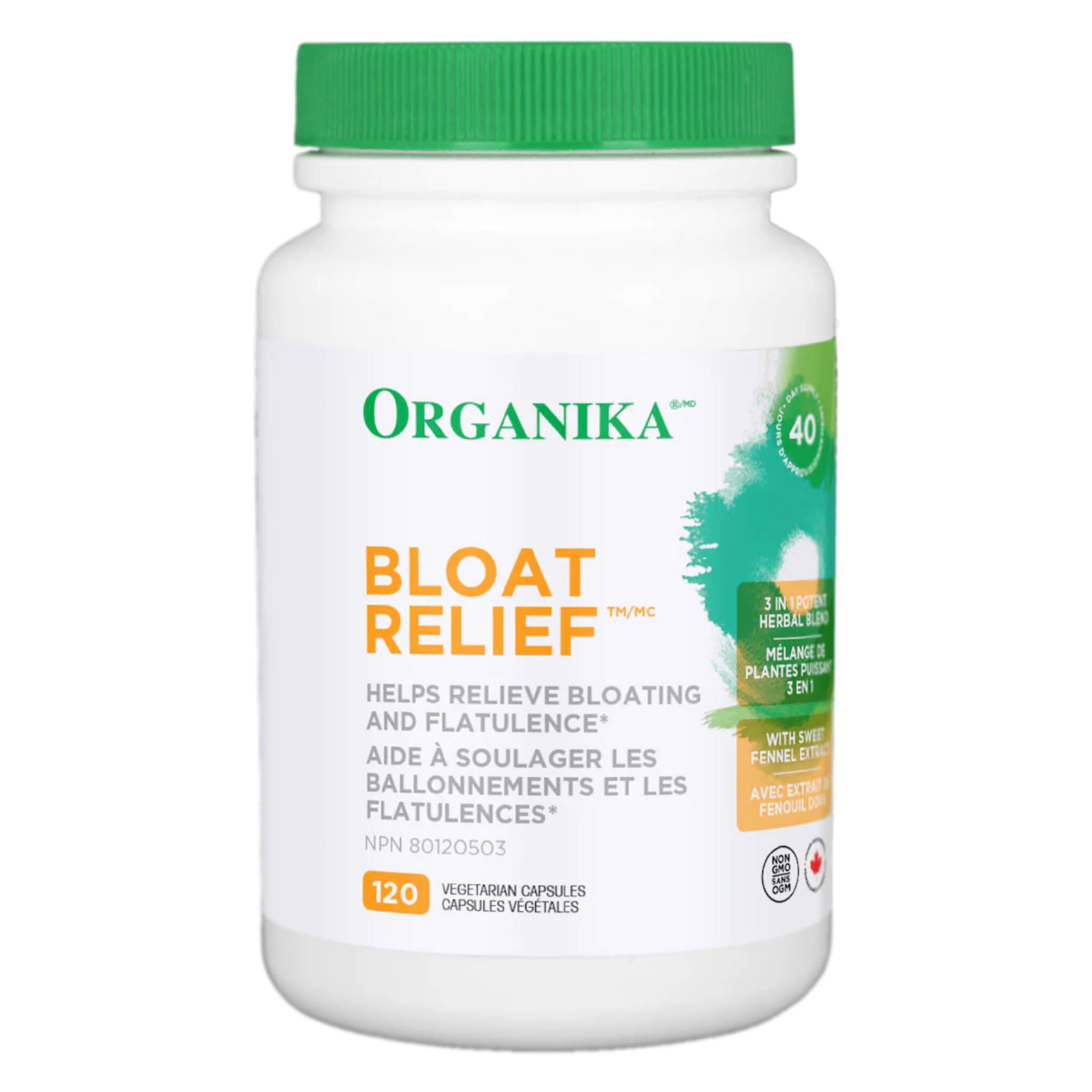 Bloat Relief Supplement for Digestive Comfort | Natural Gas & Stomach Relief | Supports Healthy Digestion | Perfect for After Meals & Travel