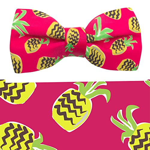 D#Fruit-Pineapple