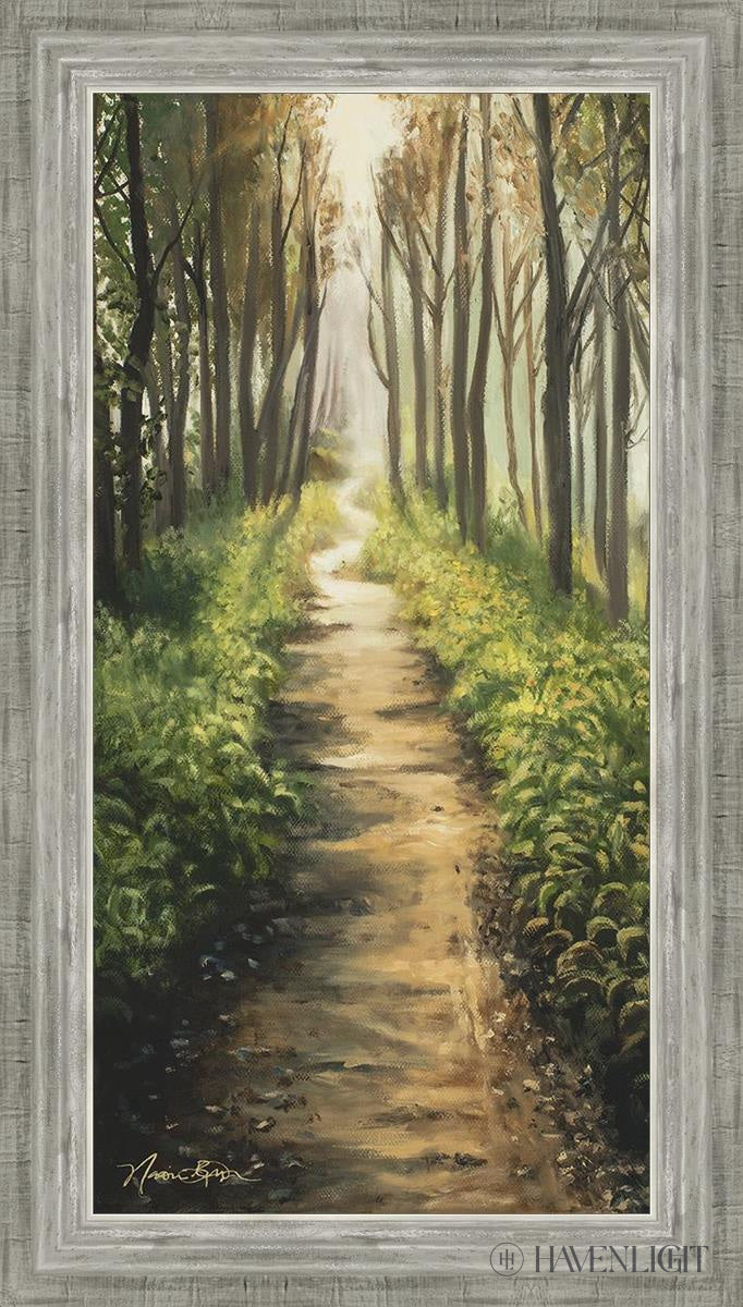 Forest Walkway - Beautiful Wooden Pathway for Gardens, Parks & Trails | Perfect for Outdoor Decor & Nature Walks