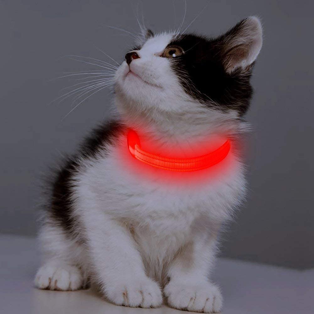 Candofly Rechargeable LED Dog Collar with Safety Light - Waterproof Reflective Collar for Night Walking, Camping, Hiking (X-Small, Red) - Perfect for Evening Dog Walks & Outdoor Adventures